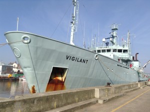 MV Vigilant van Tranship